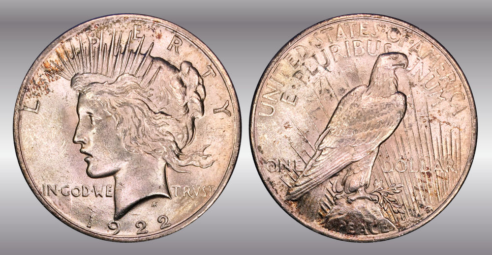 My-Raw-Peace-Dollar-Collection.-.-.-.-Warning!